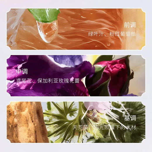 【花香调】意大利 BVLGARI宝格丽 紫晶持久淡香水 50ml/100ml 商品图5