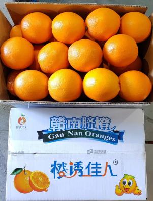 橙诱佳人（赣南脐橙）10【MJ】【包邮到家】 商品图2