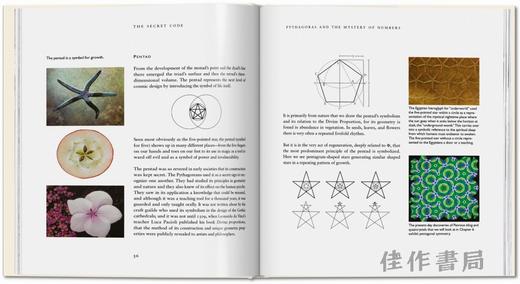 The Secret Code / 秘密代码，神圣比例—支配艺术 自然与科学的神秘公式/原版艺术画册 商品图3