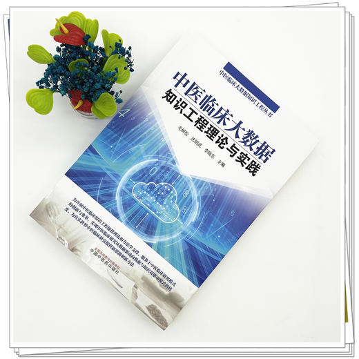 中医临床大数据知识工程理论与实践 毛树松 沈绍武 李晓东 主编 中医临床大数据知识工程丛书 中国中医药出版社 商品图1