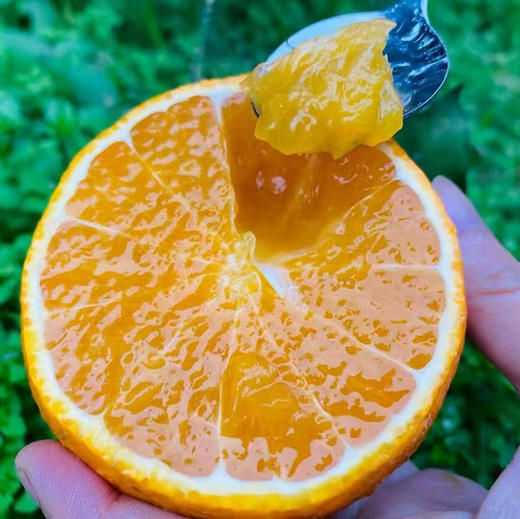 老树高山果品质爱媛38号果冻橙 5斤/8斤装  （8甜2酸） 商品图0