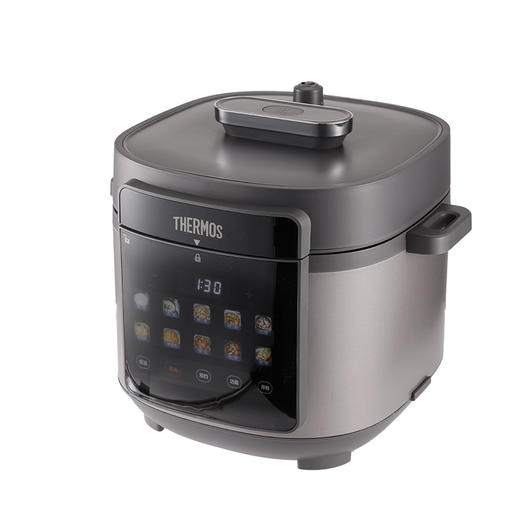 EHA-4565D 微电脑电压力饭煲 商品图0