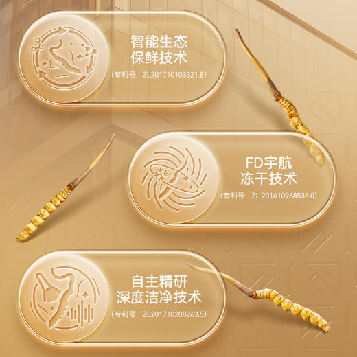 东阳光补己冻干虫草（4600）28根/盒 商品图3