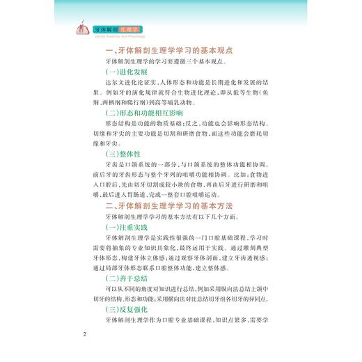 牙体解剖生理学/王朝阳 主编/浙江大学出版社 商品图2