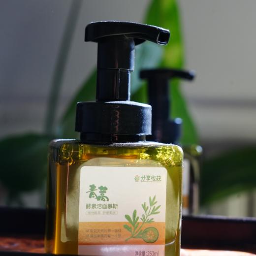 青蒿酵素洁面慕斯| 适合油性及混合性肌肤 | 农场自制 * Artemisia Enzyme Cleansing Mousse 商品图1