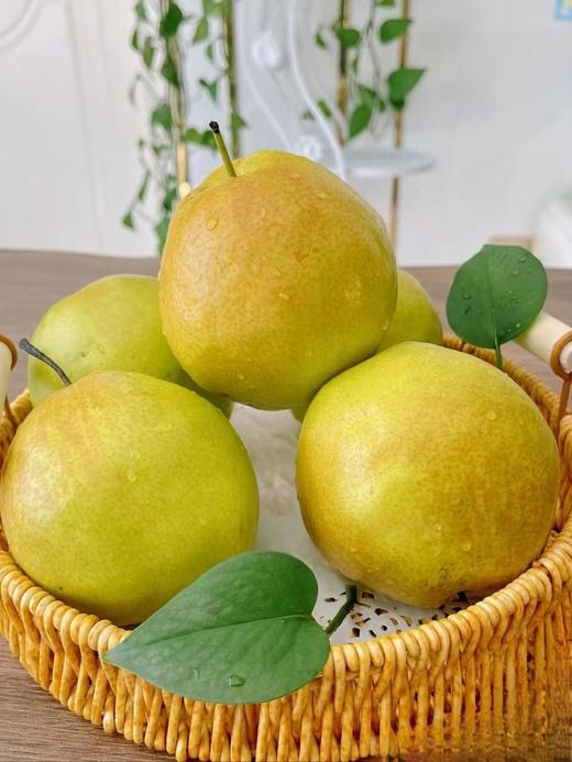隰县玉露香梨10斤装 秋季润燥佳品 香甜多汁 商品图3