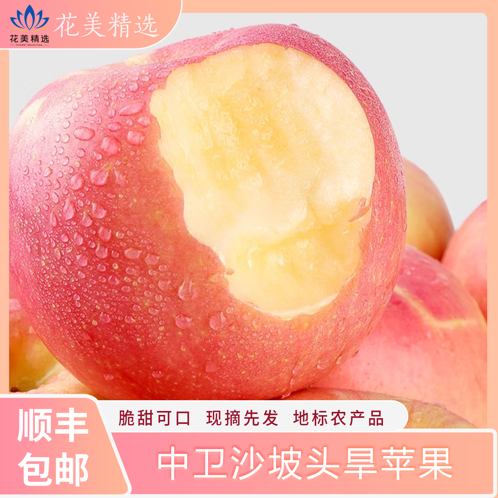 中卫沙坡头旱苹果 脆甜可口