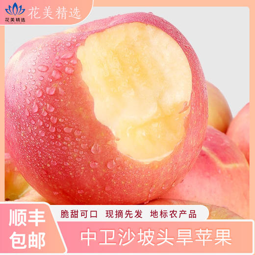 中卫沙坡头旱苹果 脆甜可口 商品图0