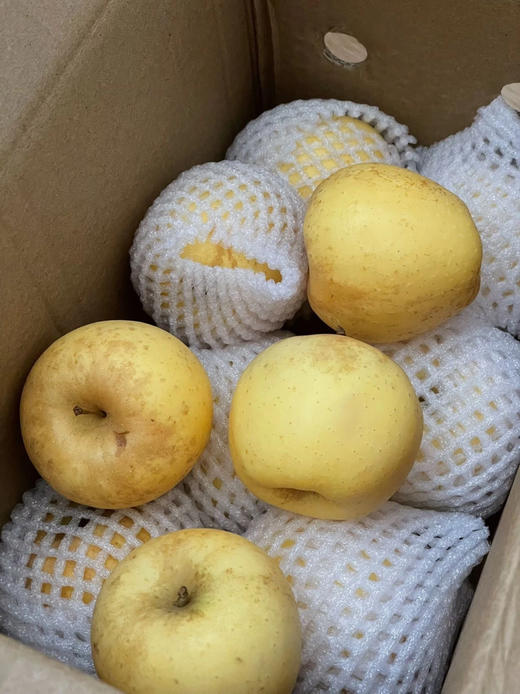 维纳斯苹果8个装 商品图6