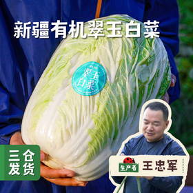新疆有机翠玉白菜 8斤±200g | 合作农友生产，新疆、成都、深圳多仓发货，生产者：王忠军 *【公平贸易农人定价】
