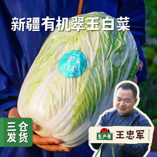 新疆有机翠玉白菜 8斤±200g | 合作农友生产，新疆、成都、深圳多仓发货，生产者：王忠军 *【公平贸易农人定价】 商品图0