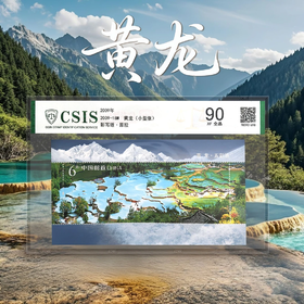 【中国邮政】2009年18M 黄龙邮票小型张封装版（信泰评级）