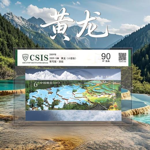 【中国邮政】2009年18M 黄龙邮票小型张封装版（信泰评级） 商品图0