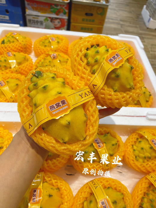 【宏丰精选】燕窝果，口感纯甜，活动价19.8元一个 商品图7