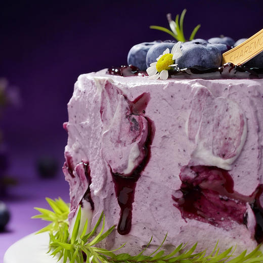 【幽谷 · 蓝莓秘境】蓝莓酸奶轻乳酪 商品图4