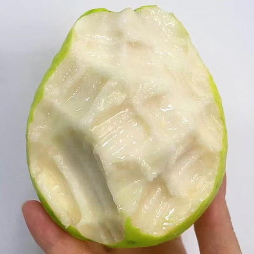 ​​​​​#🌈/奶油+芭乐=别人瘦身饿到发慌，我吃着芭乐畅想酸甜[色]热量低还饱腹，减肥不再是苦行僧，而是一场甜蜜的奔赴到货 ⁠‌﻿‎  ​⁠‎﻿‎​ 商品图9