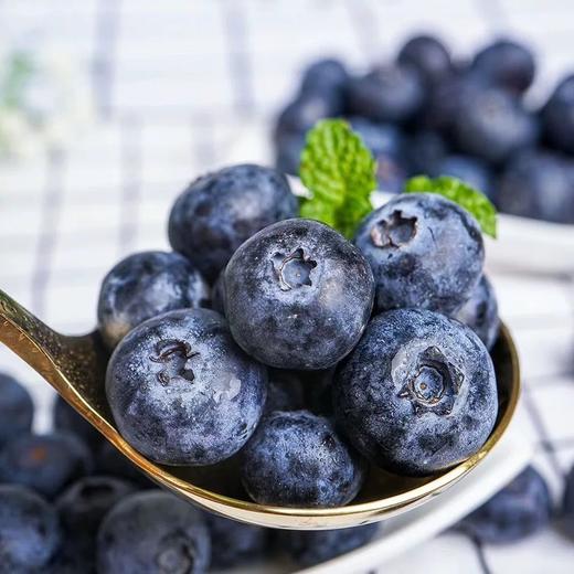 秘鲁进口蓝莓 商品图0