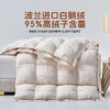 多喜爱 金羽朵95进口白鹅绒冬被-云曦漫享【波兰进口白鹅绒】【95%绒子含量】【1000+清洁度】【防羽提花面料】【3D热气球工艺】双层边 织带工艺 10CM检测口 可套被头设计 高档皮箱 商品缩略图1