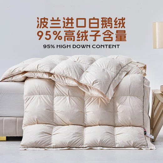 多喜爱 金羽朵95进口白鹅绒冬被-云曦漫享【波兰进口白鹅绒】【95%绒子含量】【1000+清洁度】【防羽提花面料】【3D热气球工艺】双层边 织带工艺 10CM检测口 可套被头设计 高档皮箱 商品图1