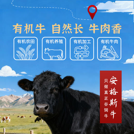 金陇雪原切牛排 谷饲 国产牛肉生鲜食材 菲力牛排150g 商品图2