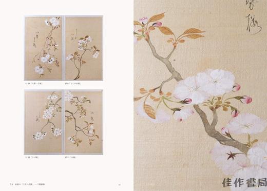 桜狂の譜　江戸の桜画世界 / 江户的樱花绘画世界 商品图4