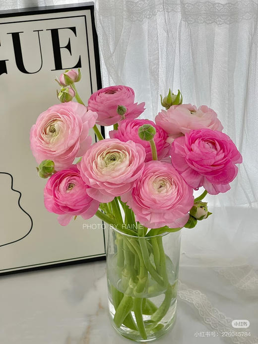 现货粉色洋牡丹一扎10支，支长35厘米 商品图0