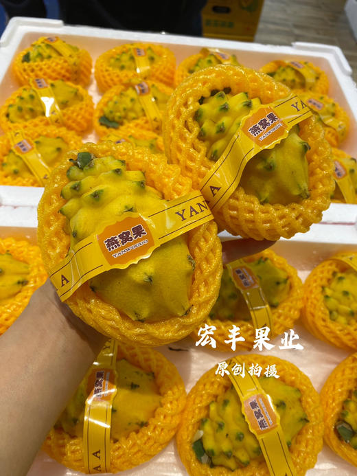 【宏丰精选】燕窝果，口感纯甜，活动价19.8元一个 商品图6