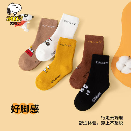 【清仓捡漏】【5双装】【10A抑菌加厚全毛圈袜】【史努比】男童中长款袜子组合装 商品图1