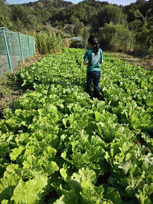 储值卡会员介绍 商品图4