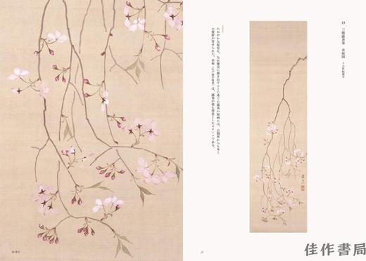 桜狂の譜　江戸の桜画世界 / 江户的樱花绘画世界 商品图2