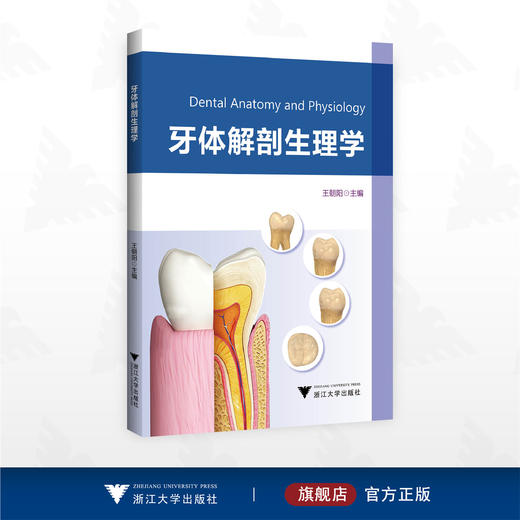 牙体解剖生理学/王朝阳 主编/浙江大学出版社 商品图0