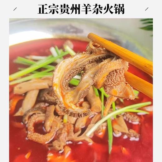 红汤羊杂火锅(500克/肉：350克，油150 克)【GY】 商品图2