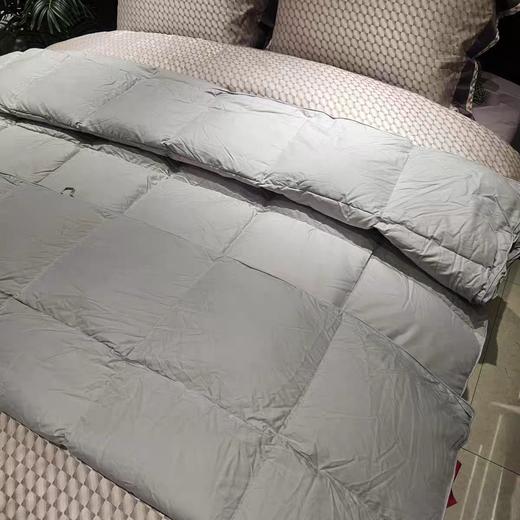 伊利婼鹅绒被 90白鹅绒 买一送一 商品图2