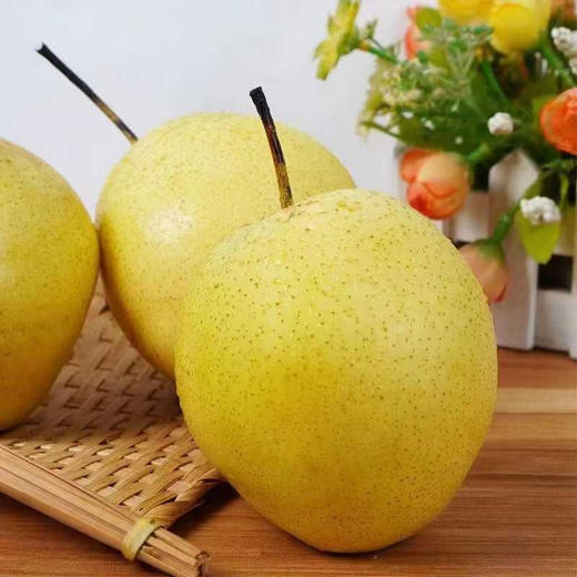 现摘现发！河北正宗雪花梨，脆爽多汁超解腻 商品图3