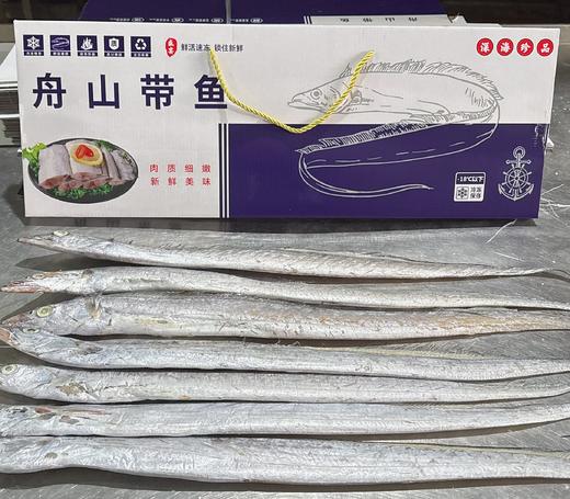 舟山野生雷达网带鱼25.8元1箱约2斤7-9条装，预售周五到 商品图0