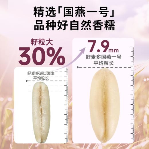 好麦多 有机黑糯燕麦片 210g*3 商品图4