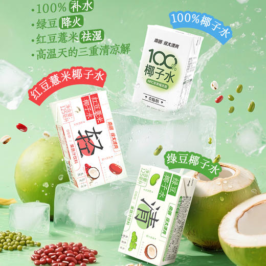 南国红豆薏米椰子水/绿豆椰子水/100%椰子水 125ml/248ml/瓶 商品图0