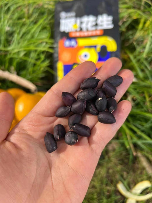 逐南味花生 商品图3