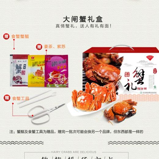 自营（傲音）-澄宇阳澄湖大闸蟹 蟹卡 实体卡 商品图3