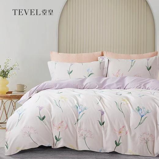 6F堂皇   周年庆 春意阑珊全棉四件套 商品图0