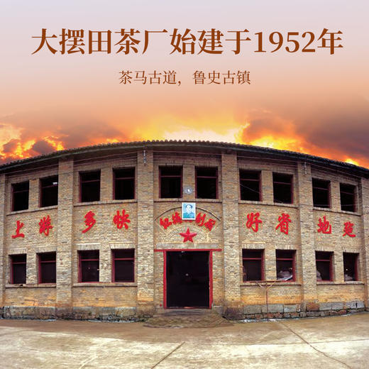 云顶五福临门滇红茶50g装 商品图8