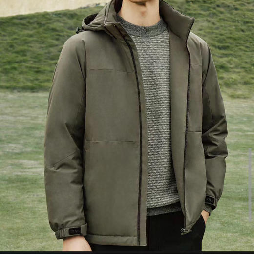 佛朗尼齐拉 商品图0