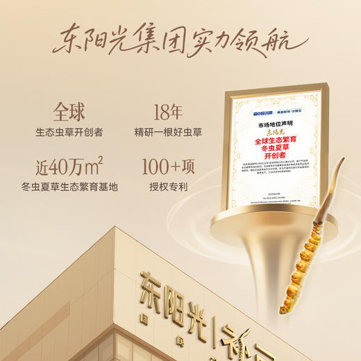 东阳光补己冻干虫草（4600）28根/盒 商品图2