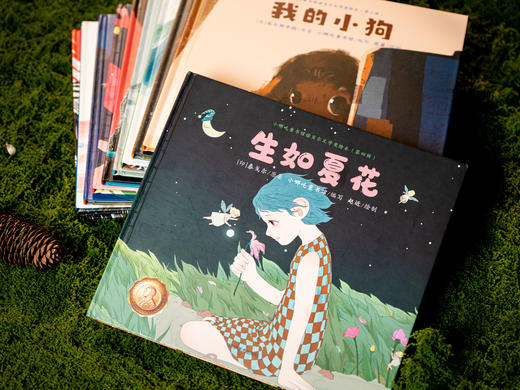 《诺贝尔文学奖绘本》（10册）|经典中的经典，一次集齐9位诺奖大师10部耀眼名作，国内罕见必入，孩子幸福一生的精神压舱石，帮孩子养性格、提审美 商品图7