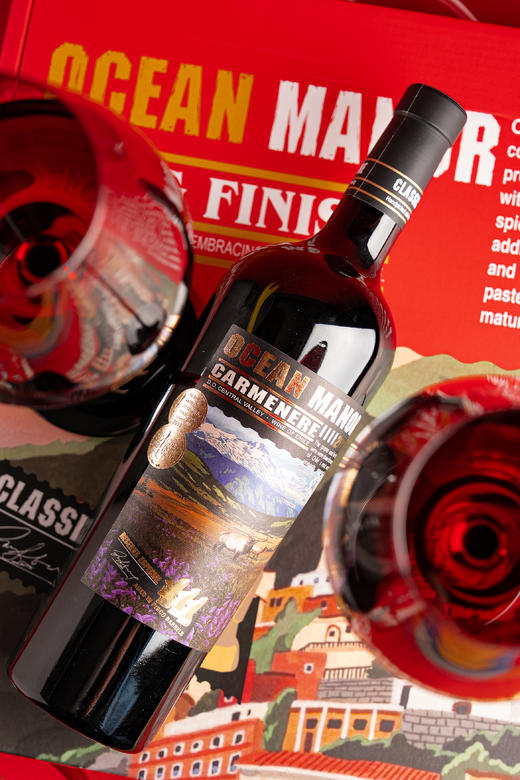 【原瓶进口超值礼盒装】智利欧绅庄园®山谷珍藏佳美娜干红葡萄酒750ml*2瓶 赠品鉴杯 商品图9