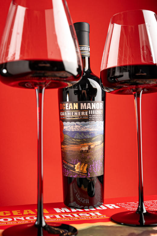 【原瓶进口超值礼盒装】智利欧绅庄园®山谷珍藏佳美娜干红葡萄酒750ml*2瓶 赠品鉴杯 商品图6