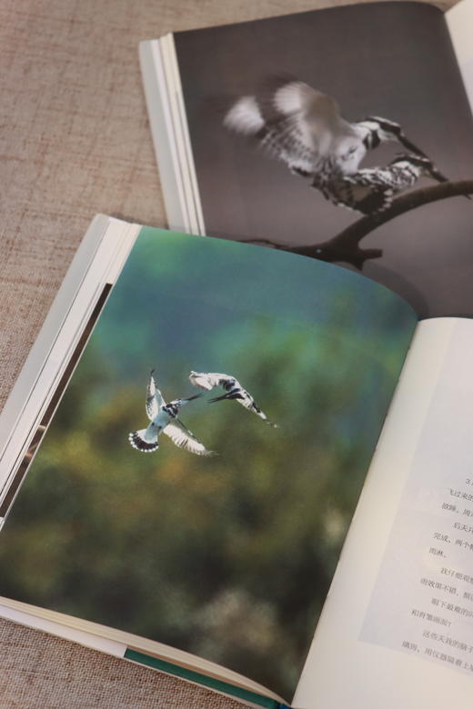 油麻菜新书《生而有灵》·【签名版】 “最精彩的故事就在身边”带你走进未曾见过的世界 商品图5