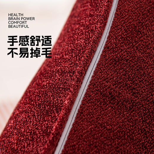 罗莱软装  欢天喜地抱枕 30*50cm 商品图3