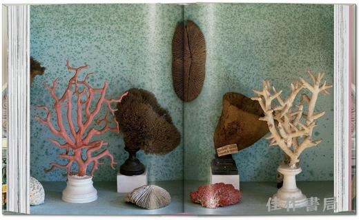 Massimo Listri. Cabinet of Curiosities. 45th Ed. / 马西莫·利斯特里. 奇珍柜（45周年纪念版）/Taschen 45周年系列 商品图3