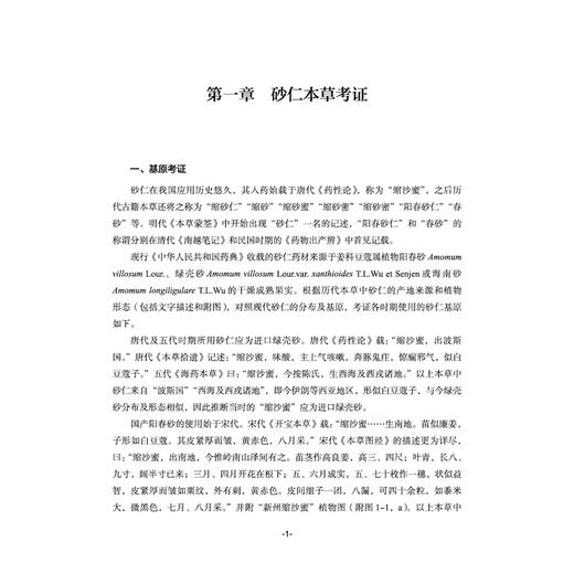 中国砂仁 中华名优中药系列丛书 张丽霞 杨得坡 王艳芳 砂仁栽培技术质量评价南药研究中药材产业药用植物图书 中国中医药出版社 商品图4